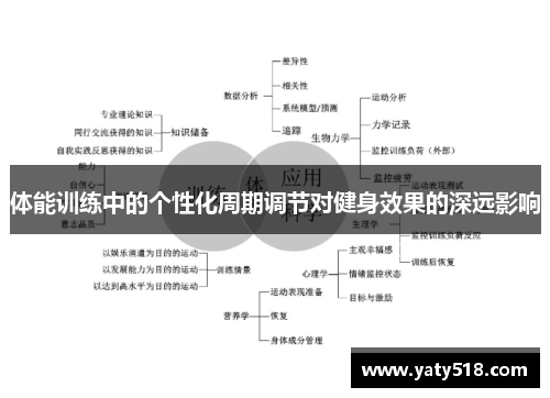 体能训练中的个性化周期调节对健身效果的深远影响