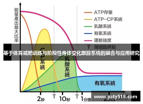 基于体育减肥训练与阶段性身体变化跟踪系统的融合与应用研究
